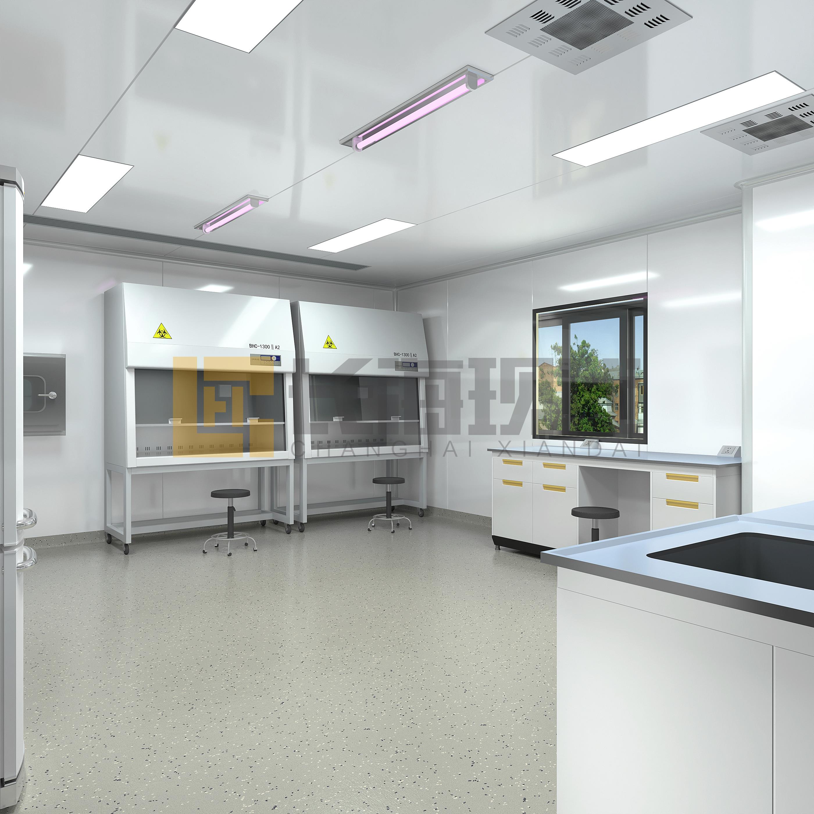醫(yī)療潔凈實驗室